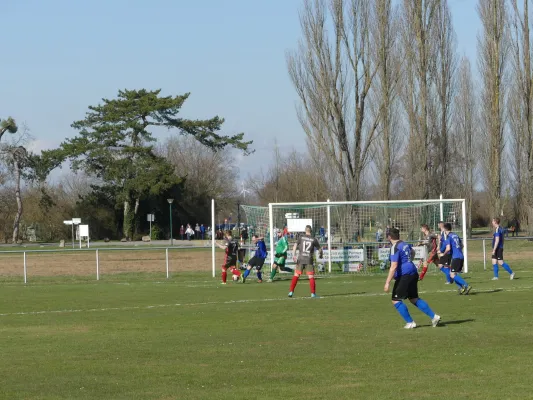 18.03.2023 SV Grün-Weiß Wörlitz vs. Klödener SV