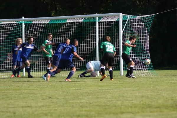 03.10.2015 SV Grün-Weiß Wörlitz vs. Abus Dessau II