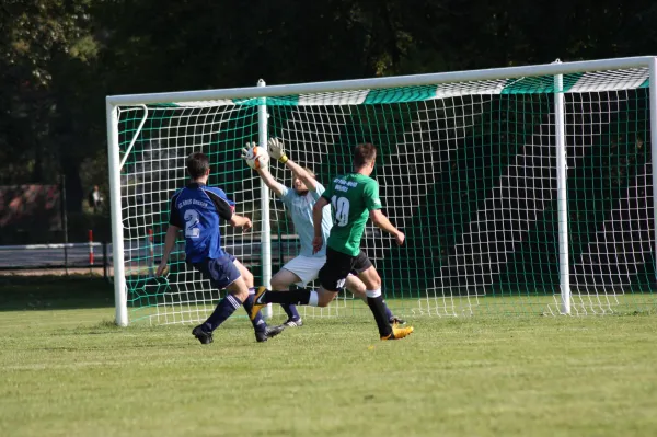 03.10.2015 SV Grün-Weiß Wörlitz vs. Abus Dessau II