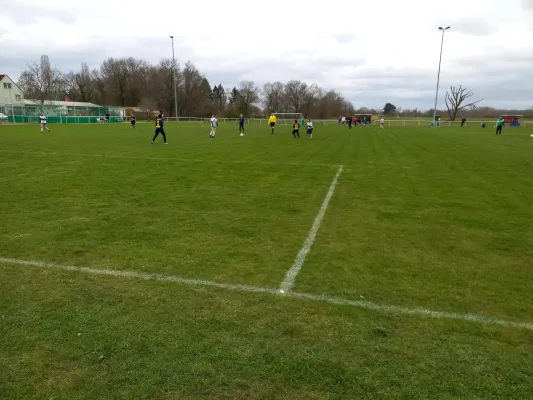 02.04.2023 SV Grün-Weiß Wörlitz vs. VfB Gräfenhainichen