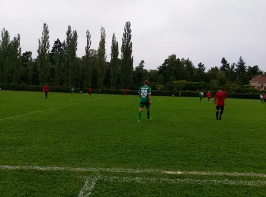 17.09.2016 SV Grün-Weiß Wörlitz vs. ESV Lok Dessau