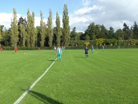 02.10.2016 SV Grün-Weiß Wörlitz vs. SV Dessau 05 II