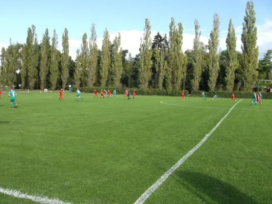 02.10.2016 SV Grün-Weiß Wörlitz vs. SV Dessau 05 II