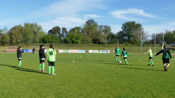22.10.2023 Stahl Aken vs. SV Grün-Weiß Wörlitz