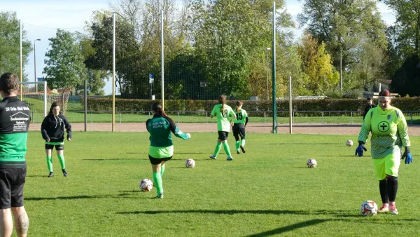 22.10.2023 Stahl Aken vs. SV Grün-Weiß Wörlitz