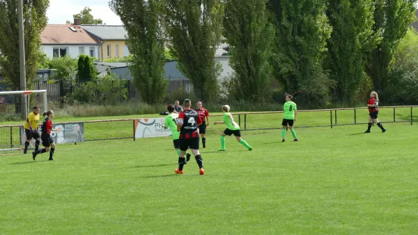 03.09.2023 Fc Eintracht Köthen vs. SV Grün-Weiß Wörlitz
