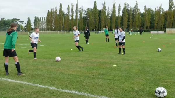 24.09.2023 SV Grün-Weiß Wörlitz vs. SV Germania Maasdorf