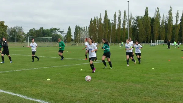 24.09.2023 SV Grün-Weiß Wörlitz vs. SV Germania Maasdorf