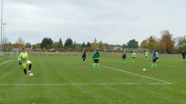 05.11.2023 SV Grün-Weiß Wörlitz vs. SG Abus Dessau