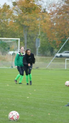 05.11.2023 SV Grün-Weiß Wörlitz vs. SG Abus Dessau