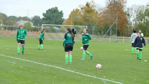 05.11.2023 SV Grün-Weiß Wörlitz vs. SG Abus Dessau