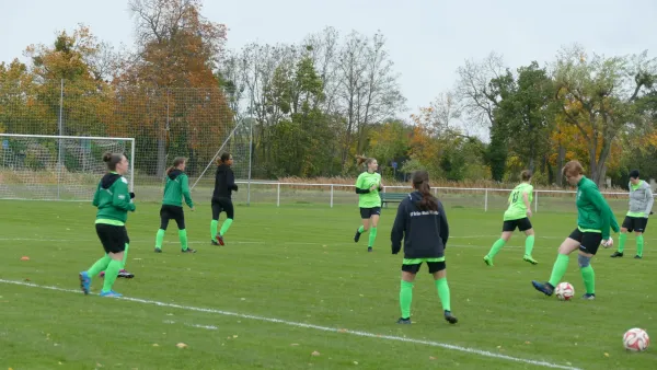 05.11.2023 SV Grün-Weiß Wörlitz vs. SG Abus Dessau