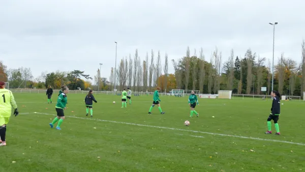 05.11.2023 SV Grün-Weiß Wörlitz vs. SG Abus Dessau