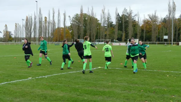 05.11.2023 SV Grün-Weiß Wörlitz vs. SG Abus Dessau