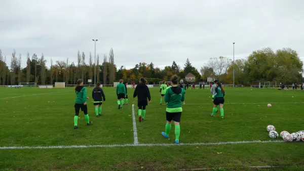 05.11.2023 SV Grün-Weiß Wörlitz vs. SG Abus Dessau