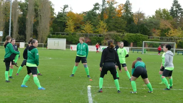 05.11.2023 SV Grün-Weiß Wörlitz vs. SG Abus Dessau