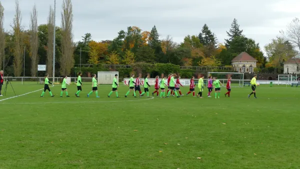 05.11.2023 SV Grün-Weiß Wörlitz vs. SG Abus Dessau