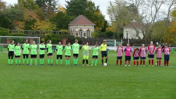 05.11.2023 SV Grün-Weiß Wörlitz vs. SG Abus Dessau