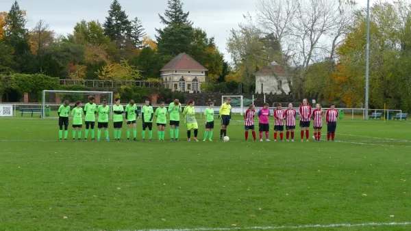 05.11.2023 SV Grün-Weiß Wörlitz vs. SG Abus Dessau