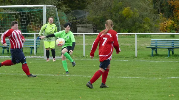 05.11.2023 SV Grün-Weiß Wörlitz vs. SG Abus Dessau