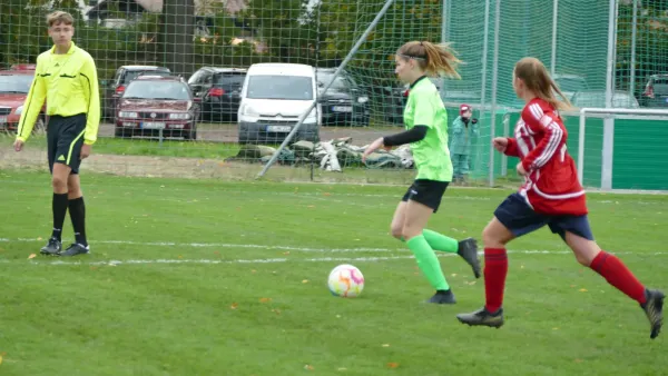 05.11.2023 SV Grün-Weiß Wörlitz vs. SG Abus Dessau