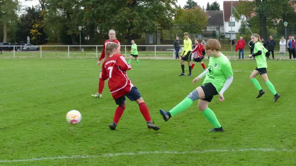 05.11.2023 SV Grün-Weiß Wörlitz vs. SG Abus Dessau