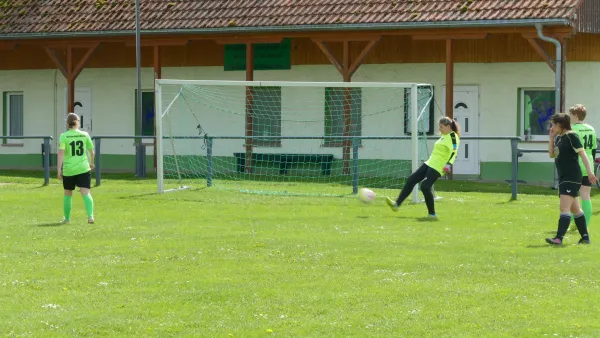 14.04.2024 SV Germania Maasdorf vs. SV Grün-Weiß Wörlitz