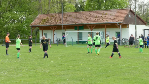 14.04.2024 SV Germania Maasdorf vs. SV Grün-Weiß Wörlitz