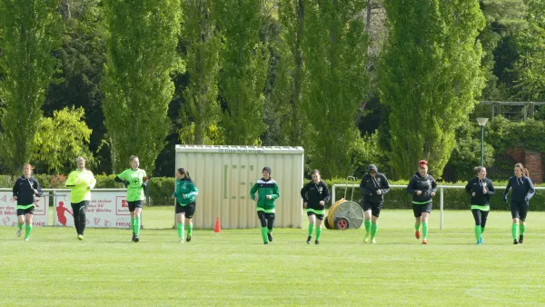 21.04.2024 SV Grün-Weiß Wörlitz vs. Bad Schmiedeberg