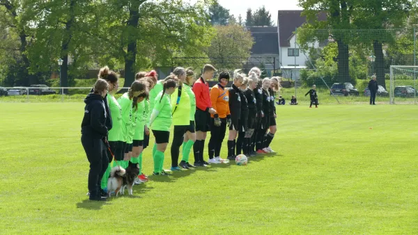 21.04.2024 SV Grün-Weiß Wörlitz vs. Bad Schmiedeberg