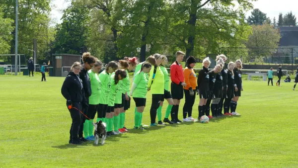 21.04.2024 SV Grün-Weiß Wörlitz vs. Bad Schmiedeberg