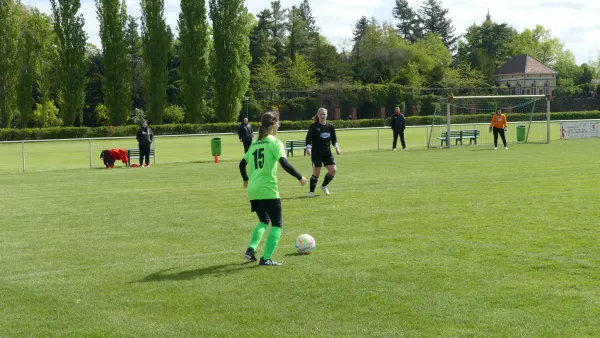 21.04.2024 SV Grün-Weiß Wörlitz vs. Bad Schmiedeberg