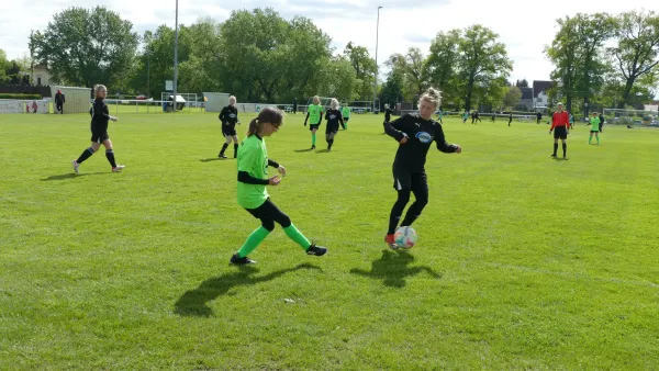 21.04.2024 SV Grün-Weiß Wörlitz vs. Bad Schmiedeberg