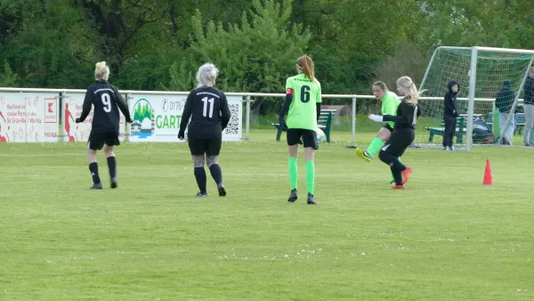 21.04.2024 SV Grün-Weiß Wörlitz vs. Bad Schmiedeberg