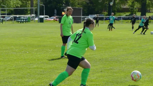 21.04.2024 SV Grün-Weiß Wörlitz vs. Bad Schmiedeberg