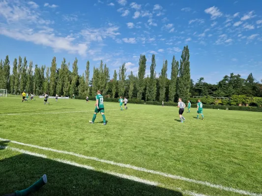 20.08.2023 SV Grün-Weiß Wörlitz vs. Bad Schmiedeberg