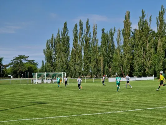 20.08.2023 SV Grün-Weiß Wörlitz vs. Bad Schmiedeberg