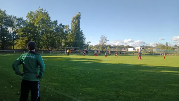 21.10.2023 SV Reinsdorf vs. SV Grün-Weiß Wörlitz