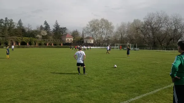 01.04.2024 SV Grün-Weiß Wörlitz vs. LSG Lebien