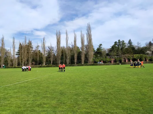 01.04.2024 SV Grün-Weiß Wörlitz vs. LSG Lebien