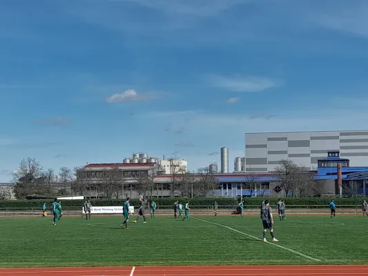 06.04.2024 Allemannia Jessen II vs. SV Grün-Weiß Wörlitz