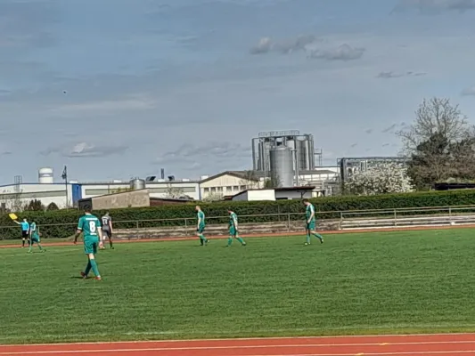 06.04.2024 Allemannia Jessen II vs. SV Grün-Weiß Wörlitz