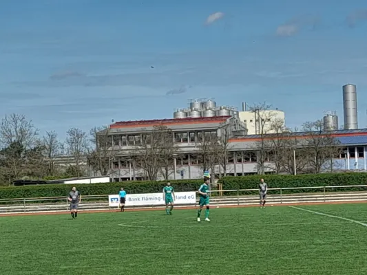 06.04.2024 Allemannia Jessen II vs. SV Grün-Weiß Wörlitz