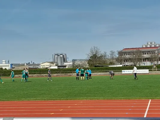 06.04.2024 Allemannia Jessen II vs. SV Grün-Weiß Wörlitz