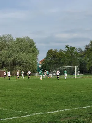 12.04.2024 SV Grün-Weiß Wörlitz vs. SV Grün-Weiß Linda