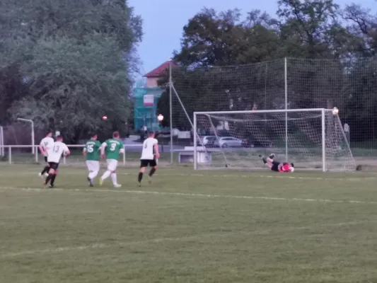 12.04.2024 SV Grün-Weiß Wörlitz vs. SV Grün-Weiß Linda