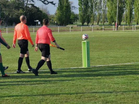 26.04.2024 SV Grün-Weiß Wörlitz vs. SV Reinsdorf