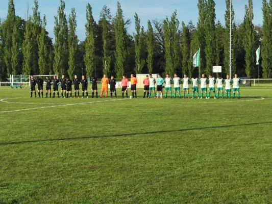 26.04.2024 SV Grün-Weiß Wörlitz vs. SV Reinsdorf