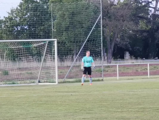 26.04.2024 SV Grün-Weiß Wörlitz vs. SV Reinsdorf