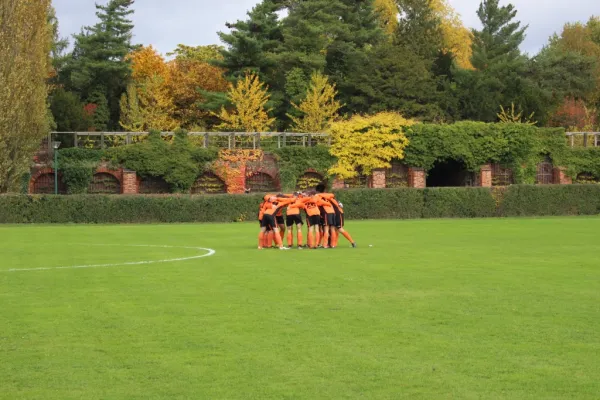 29.10.2016 SV Grün-Weiß Wörlitz vs. ASG Vorwärts Dessau